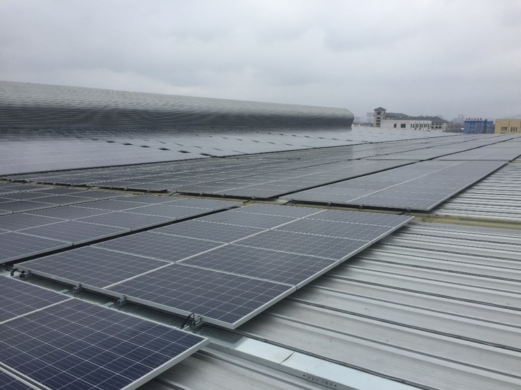 樱花私人影视剧免费