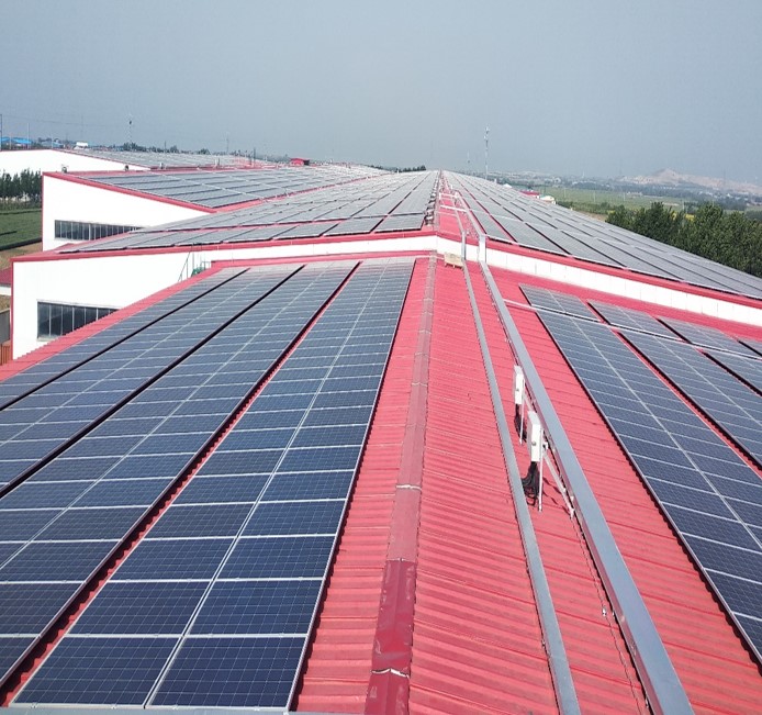 樱花私人影视剧免费