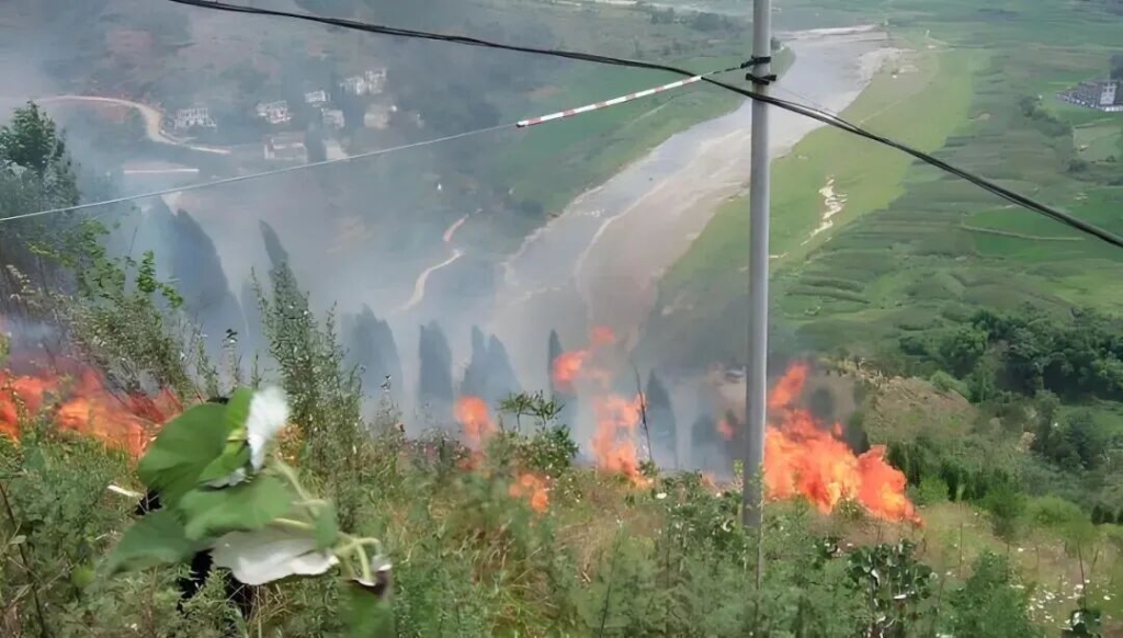 樱花私人影视剧免费