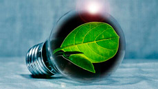 樱花私人影视剧免费