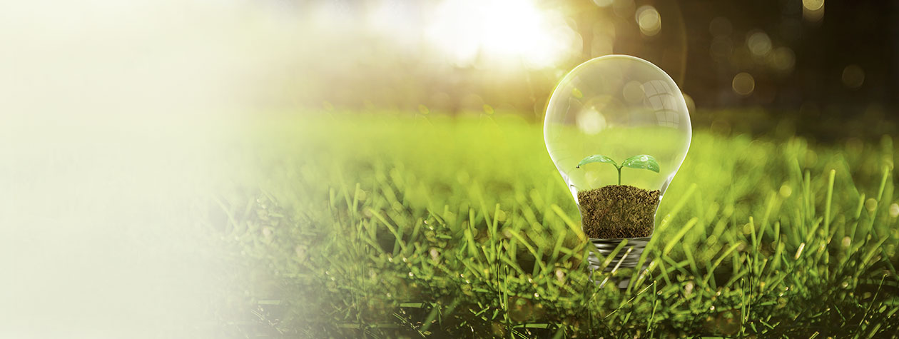 樱花私人影视剧免费