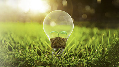 樱花私人影视剧免费