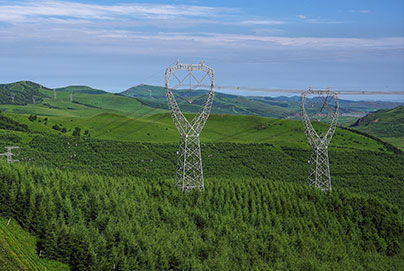 樱花私人影视剧免费
