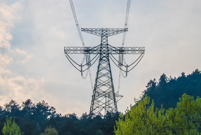 樱花私人影视剧免费