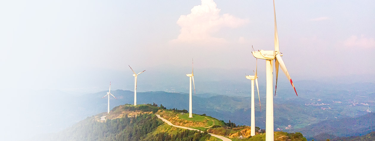 樱花私人影视剧免费